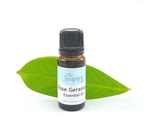 Aceite esencial de geranio de rosa, 10 ml, 100% puro y natural