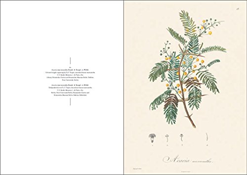 Alexander Von Humboldt; And The Botanical Explorat