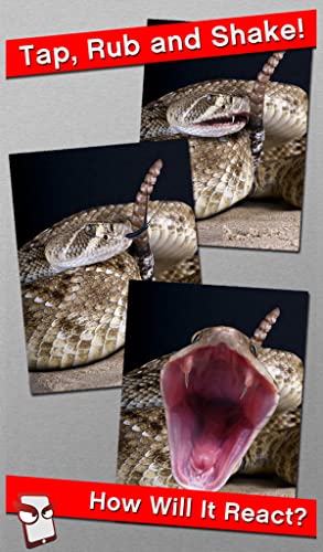 AngrySnake Free - The Angry Snake Simulator