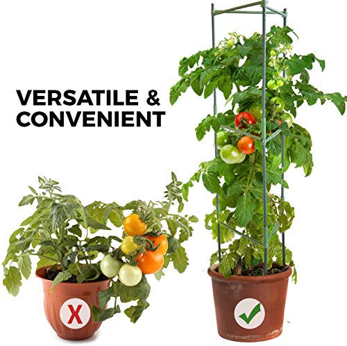 Apoyo para Plantas, Robustos Postes de Soporte para Plantas, Jaula para Plantas de Tomate, Escalada Vegtables, Flowers, Fruit Grow Cage (Un Grupo)