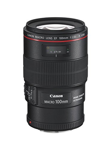 Canon EF 100mm f/ 2.8L Macro IS USM - Objetivo para Canon (Distancia Focal Fija 100mm, Apertura f/2.8-32, estabilizador, diámetro: 67mm) Negro