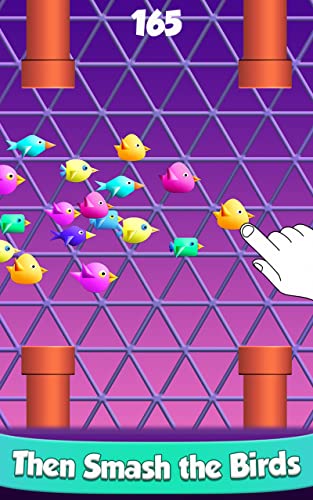 Cool Birds Game - Fun Smash: Free for Boys, Girls, Kids,Teens Adults! New Funny Games offline to Play and Action