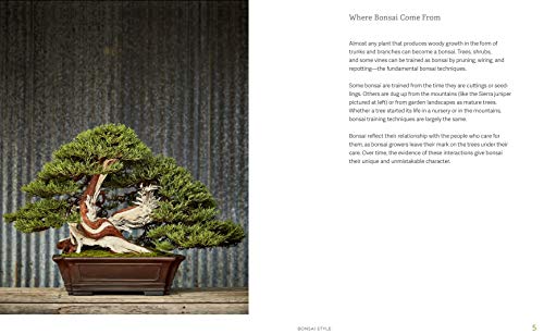 Dupuich, J: Little Book of Bonsai