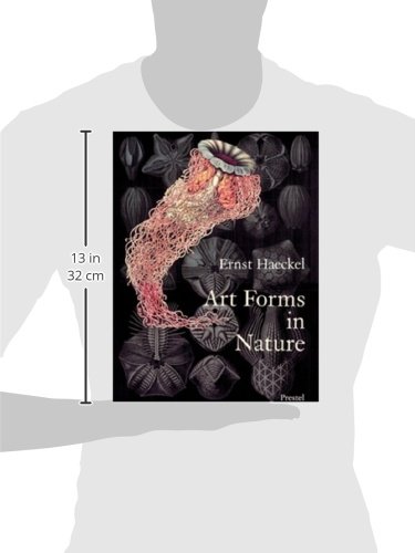 Ernst haeckel art forms in nature /anglais: Prints of Ernst Haekel (Monographs)