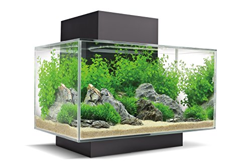 Fluval Acuarios, Negro