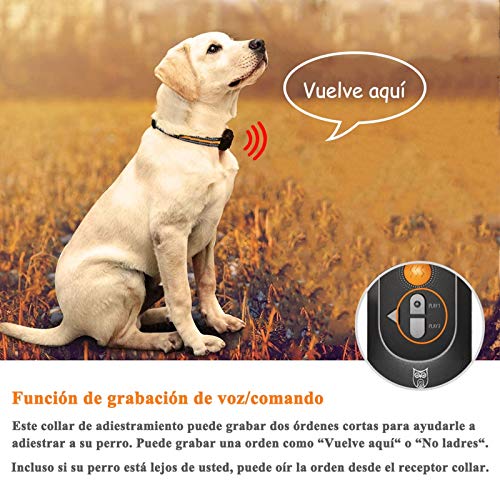 GLEADING Collar de Adiestramiento para Perros Recargable con Rango de 700 Metros con Función de Grabación de Voz/Comando, Pitido de Alerta y Modo de Vibración