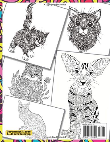 Hilarious Scenes for Cat Lovers - Adult Coloring Book