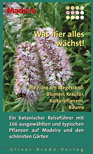 Madeira - Was hier alles wächst!: Die Flora am Wegesrand: Blumen, Kräuter, Kulturpflanzen, Bäume (German Edition)
