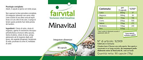 Minavital - VEGANO - Dosis elevada - 90 Cápsulas - multimineral con minerales esenciales y oligoelementos - Calidad Alemana