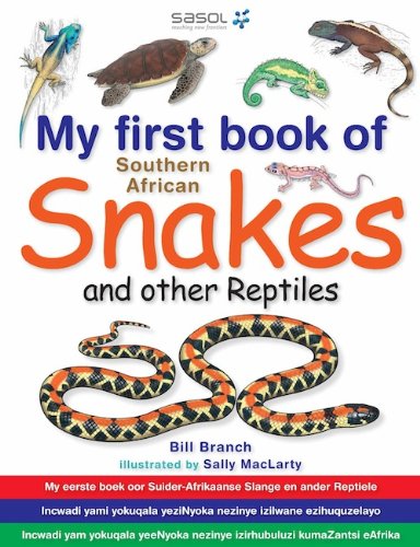 My First Book of Southern African Snakes & other Reptiles (English Edition)