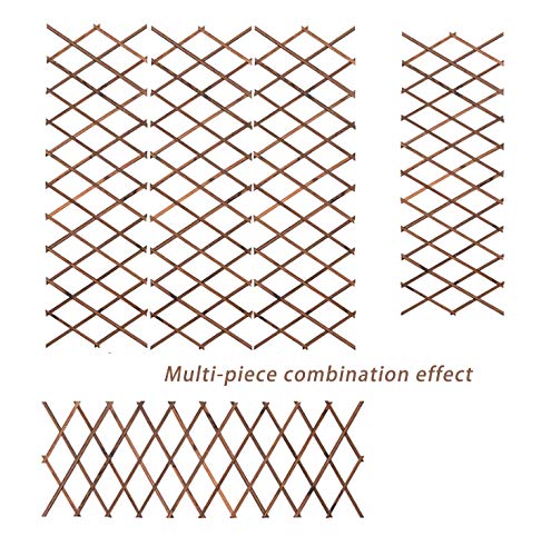 N Enrejados de jardín Enredaderas trepadoras de Plantas expandibles Soporte para cercas enrejadas (200cm*30cm)
