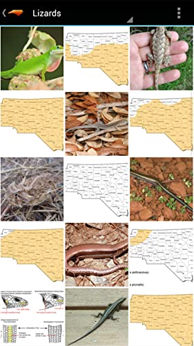 NC Reptile Guide (AD-FREE)