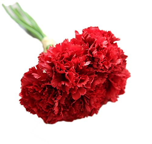 Outflower 6 PCS Artificial Falso Clavel de Flores Decoraciones para el Hogar Flor de la Boda Regalo Creativo del día de la Madre（Rojo）