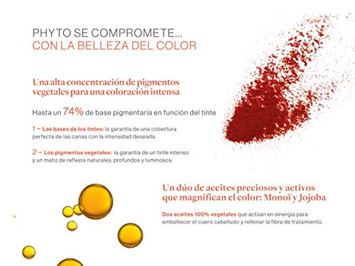 Phyto Phyto Color 53 CastañO Claro Dorado - 1 unidad