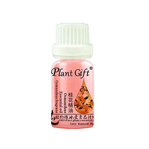 Plant Gift-Aceites Esenciales Aromaterapia Alivio del estrés Cuerpo de aroma aceites, Osmanthus, 10ML / 0.35OZ