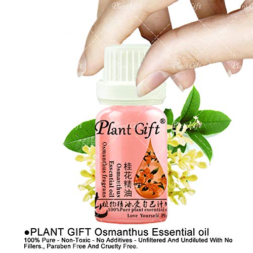 Plant Gift-Aceites Esenciales Aromaterapia Alivio del estrés Cuerpo de aroma aceites, Osmanthus, 10ML / 0.35OZ