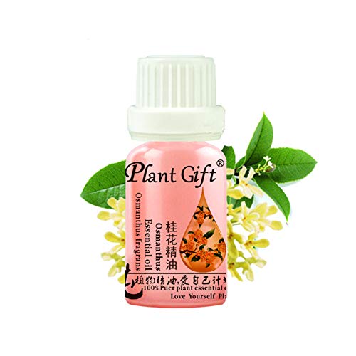 Plant Gift-Aceites Esenciales Aromaterapia Alivio del estrés Cuerpo de aroma aceites, Osmanthus, 10ML / 0.35OZ