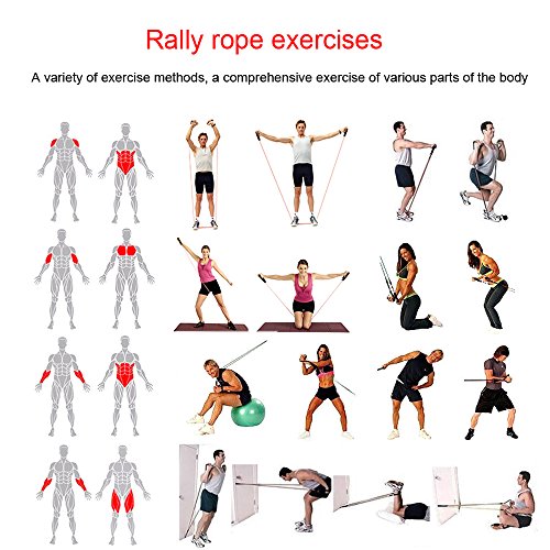 Resistance Bands Correas Set Workout Bands 12 pcs - 5 Fitness Bandas Elasticas en Látex,1 Yoga Exercise Band 8 forma,Anclaje de Puertas,Correas Para El Tobillo,Asas Y Bolsa para Estiramiento Tonifi