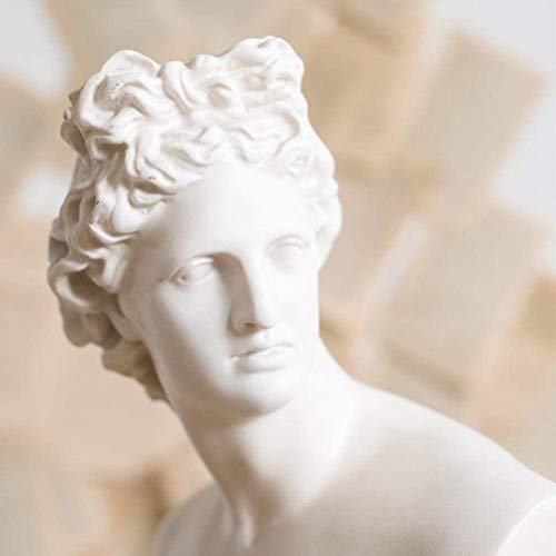 Siunwdiy Estatuas en el Apolo Apolo de Belvedere Busto Escultura Estatua Griego Antiguo Dios de Las esculturas Sol En Poesía Grandes Busto Estatua Objetos Decorativos,David,H32*W20*L13cm