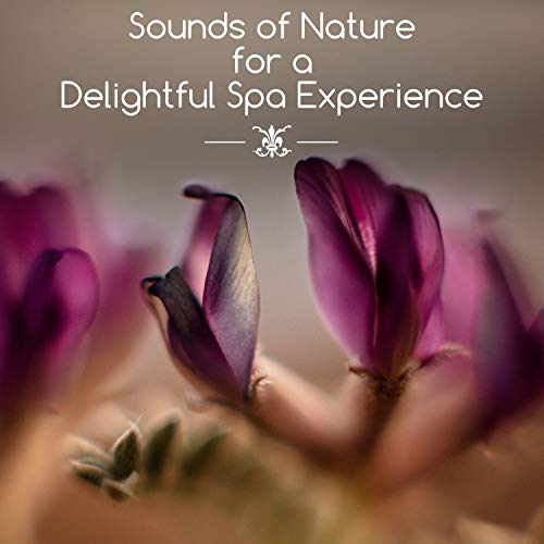 Sounds of Nature for a Delightful Spa Experience