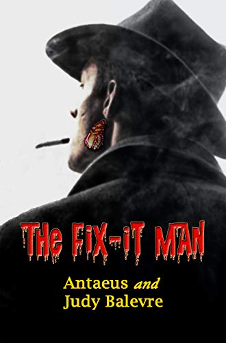 The Fix-It Man (English Edition)