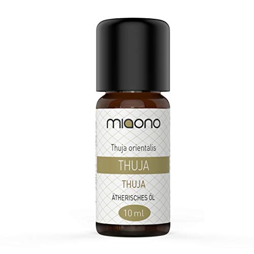 Thuja aceite – 100% Natural. (10ML) de cristal miaono (Botella)