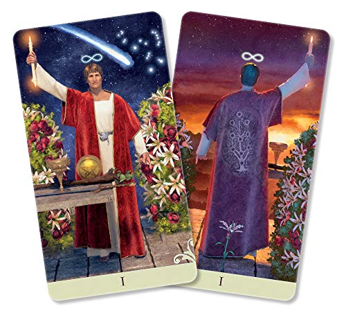 Vice Versa Tarot Deck