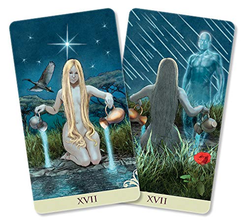 Vice Versa Tarot Deck