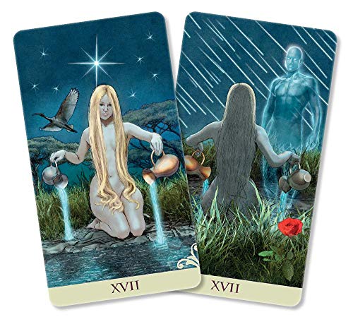 Vice Versa Tarot Kit