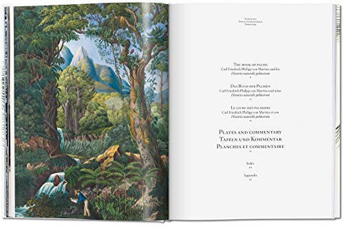 von Martius. The Book of Palms (PRIX FAVORABLE)