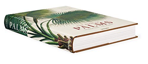 von Martius. The Book of Palms (PRIX FAVORABLE)