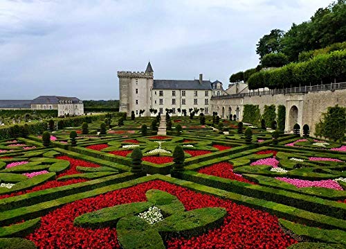 ZYDZYD Castillo de Villandry, jardín de Flores del Edificio histórico,Principiantes de Dibujo con Pinceles y Pinturas acrílicas Pintura por Kits de números sin marco50*70cm