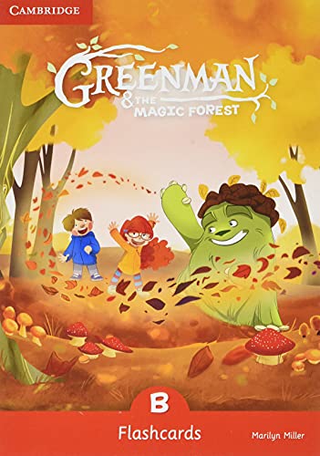 5 Años - Greenman & The Magic Forest B Flashcards