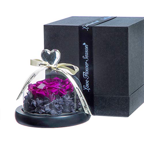 ANLUNOB Rosa encantada Hecha a Mano Rosa para Siempre - Regalo del día de Aniversario Rosa preservada - Regalo de cumpleaños Flores Frescas - Anuncio de Belleza La Rosa de la Bestia para Novia