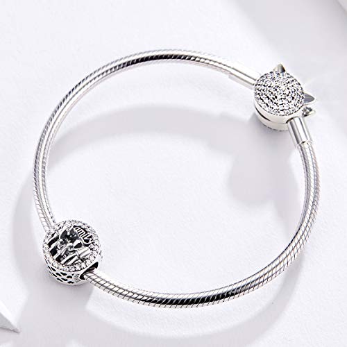 Annmors Abalorio de plata de ley 925 con texto en inglés "I Love My Family",con circonitas transparentes,para mujeres europeas,madres,hijas,pulseras y collares colgantes