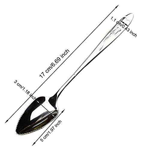 Aokshen 4 cucharas de acero inoxidable de pomelo con bordes dentados para tallar calabaza, herramientas de escarchado de helados