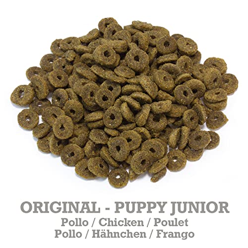 ARQUIVET Original Puppy Junior 12 Kg - Pienso Pollo y arroz para Perros Cachorros de Todas Las Razas - Comida para Perros jóvenes o Madres gestantes - Alimento seco para Perros - Alimentación Canina