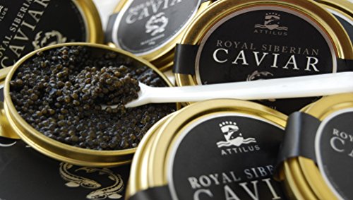 Attilus Caviar Royal Siberian Caviar (50g)