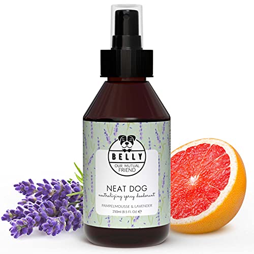 BELLY Colonia para Perros, Esencia Lavanda y Pomelo - Colonia Perros Cachorros y Adultos - Perfume Perro, Refrescante e Hidratante - Desodorante Perro, Aroma Duradero - Colonia Mascotas Vegana, 250ml