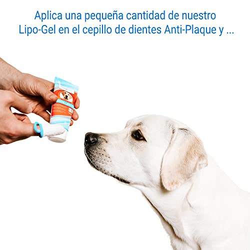 Bogadent Anti-Plaque Finger - Cepillo de Dientes para Perros con Tecnología de Iones de Plata Patentada - Cepillo con Forma de Dedo para Limpieza de Dientes de Perros, 2 Piezas