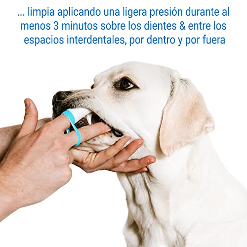 Bogadent Anti-Plaque Finger - Cepillo de Dientes para Perros con Tecnología de Iones de Plata Patentada - Cepillo con Forma de Dedo para Limpieza de Dientes de Perros, 2 Piezas