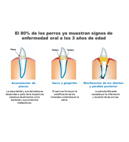 Bogadent Anti-Plaque Finger - Cepillo de Dientes para Perros con Tecnología de Iones de Plata Patentada - Cepillo con Forma de Dedo para Limpieza de Dientes de Perros, 2 Piezas