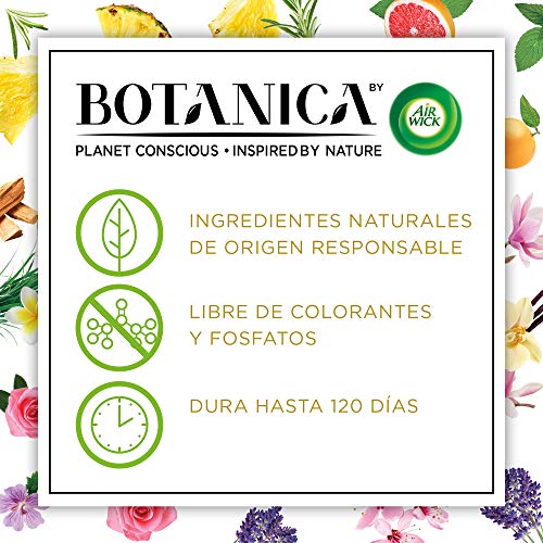 Botanica By Air Wick Ambientador Eléctrico, Esencia para Casa con Aroma a Pomelo y Menta Marroquí, Aparato y Recambio, 140 Gramos