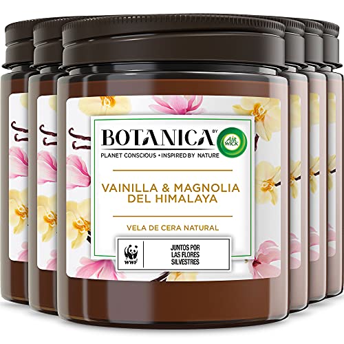 Botanica de Air Wick - Vela Aromática Perfumada Decorativa, Ambientador esencia para casa con aroma a Vainilla y Magnolia del Himalaya, con ingredientes naturales, Pack de 6