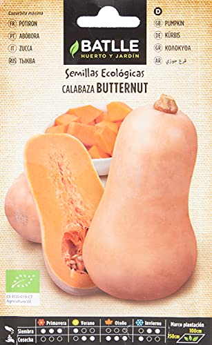 Calabaza Butternut - ECO