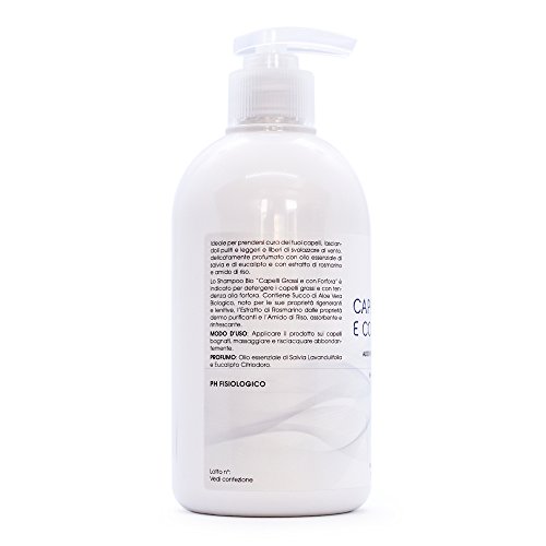 Champu Anticaspa Profesional 500ML Sebocorrector Cabello graso - Sin Sulfatos Ni Parabenos Antigrasa Con Phyto Keratina