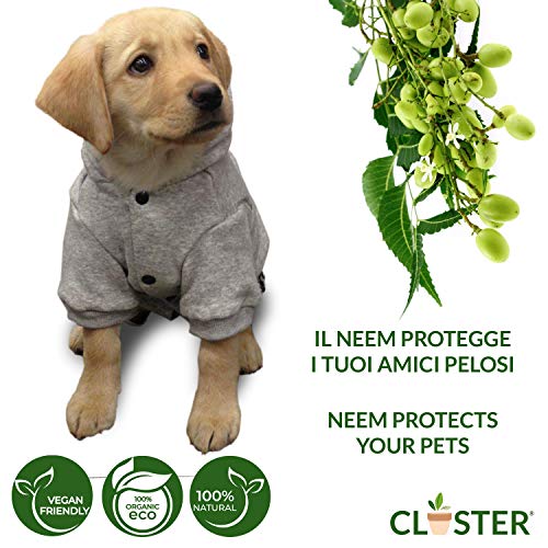 CLOSTER Neem Pet Protection Listo para Usar 500 Ml - Spray Antiparasitario Perros Antipulgas Gatos - Insecticida Pulgas contra Pulgas Y Garrapatas Ácaros Piojos Insectos para Perros Gatos Y Caballos