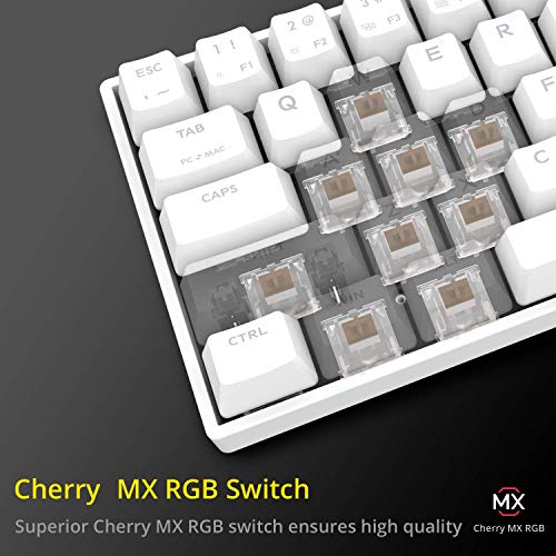 DREVO Calibur V2 TE Cherry MX Marrón RGB 60% Teclado Mecánico para Juegos, Distribución QWERTY Españo, Compacto de 72 Teclas, Compatible con PC/Mac, USB C, Blanco