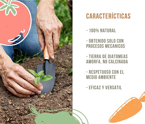 ECO Tierra de Diatomeas® Micronizada 5kg - 100% Natural y Ecológico - Grado alimenticio E551c. No calcinada, sin aditivos.