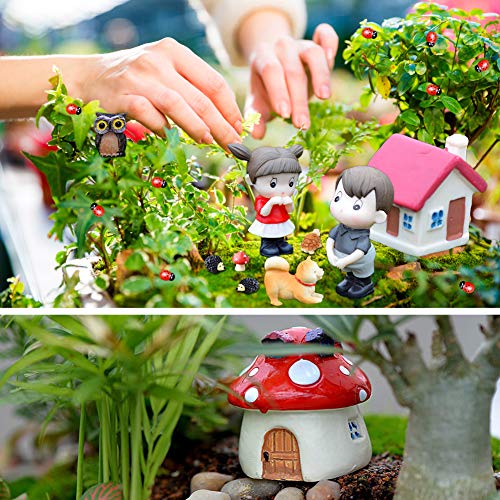 EQLEF Miniaturas Jardin Mini Mariquita Tortuga Erizo Setas búhos niñas niños Flores de Perro Kits de Adornos en Miniatura encantadores para decoración de jardín 40 Piezas